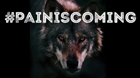 The Hunter becomes the Hunted