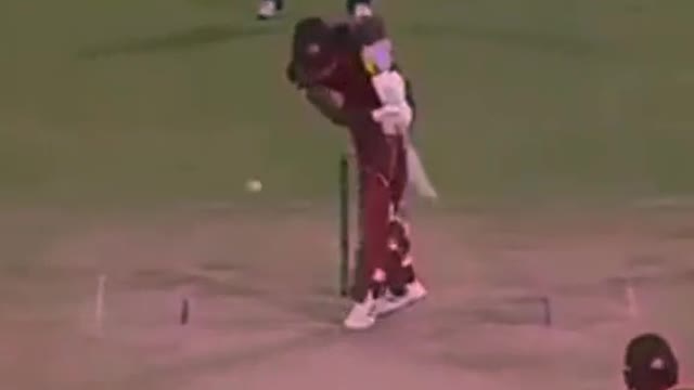 fans-video cricket lovers-video #cricket #cricketlover