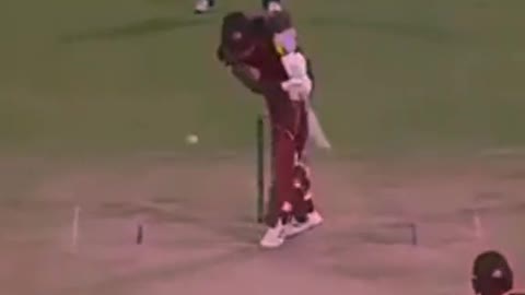 fans-video cricket lovers-video #cricket #cricketlover