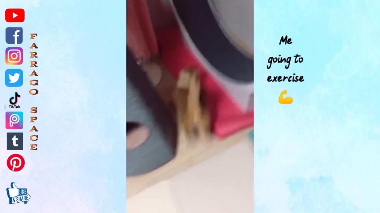 Funny (Smart) Cats Be Like | Funny Animals TikTok Videos #Shorts