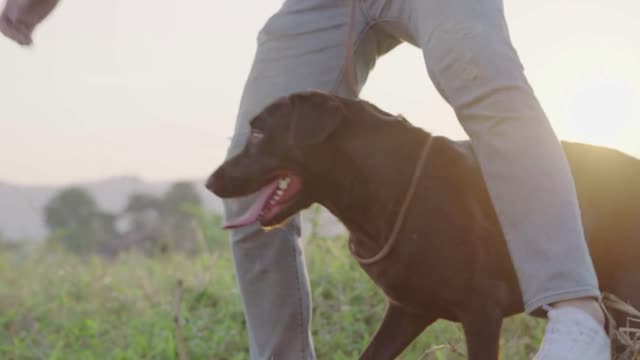 A funny moment of young handsome asian man hugging his dog while standing resting on spring