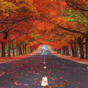 Heaven of Earth 🌍🌍🌍