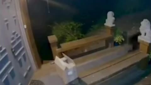 Bark = “CLOSE IT!!!”