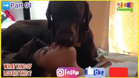 🤩Dog🐕‍🦺Lover🐕Part 01💋Kissing Dog🐶Video🦮Animal😍Dog Lover🐕Amazing🧐Shorts😳Reels📢Videos😁📸