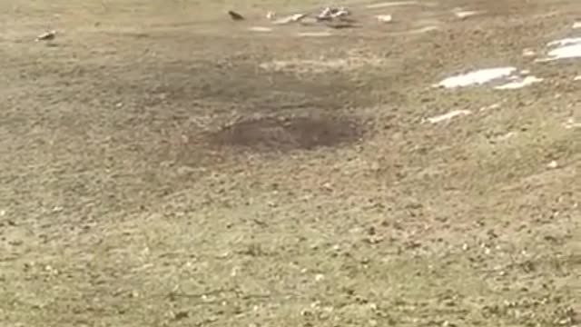 Amanda Grace Talks..Air Traffic Control and the Exodus of Seagulls!!