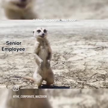 aku nama tata 🦁 🐗 🦝