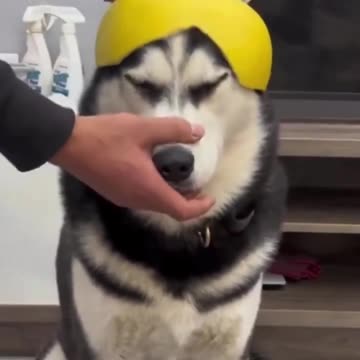 So Much Better Than The Reaction I Anticipated