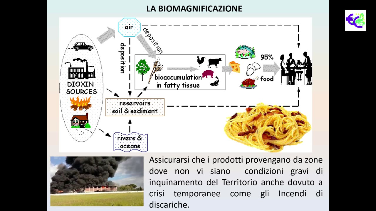 Convegno Semi e Frutti Antichi (11 Aprile 2019) - 05 - Tiberti