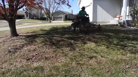 Mulching Leaves