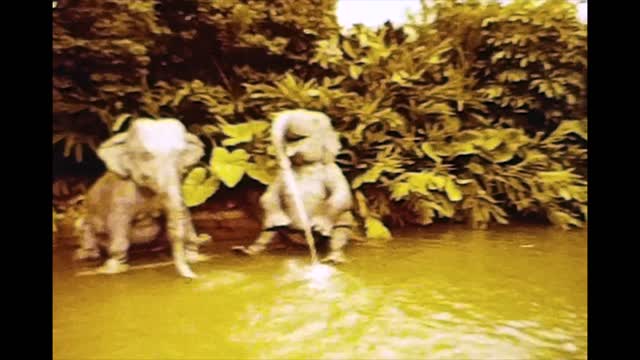 Take a Ride on the Jungle Cruise at Walt Disney World in 1979