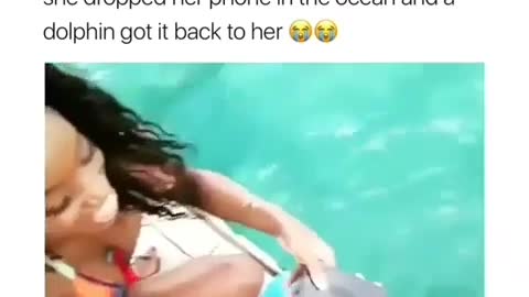 She droped her phone in the ocean and a dolphin got it back to her😂😂