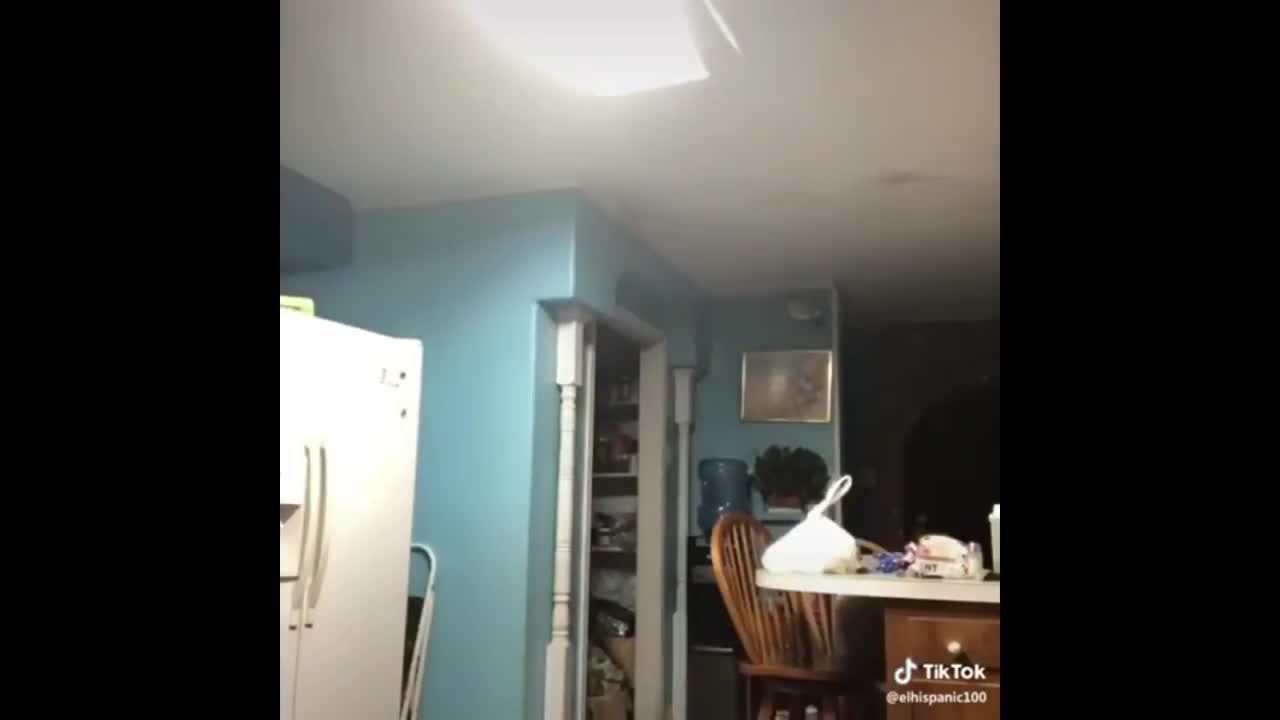 Try Not to Laugh vids from insta and twitter
