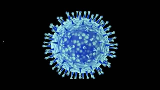 YOUR NOT SUPPOSED TO KNOW THIS. THE TRUTH ABOUT VIRUSES . EXPOSED