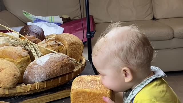 Baby eating bread