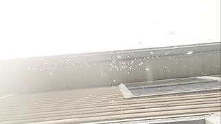 Big Raindrops Falling From The Sky