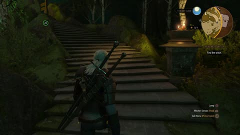The Witcher 3 - Hunting A Witch