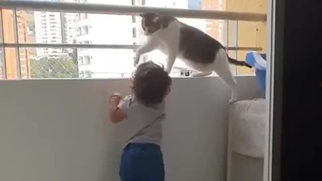 Cat saves baby from falling.