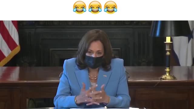 VP Harris, AKA Captain Obvious