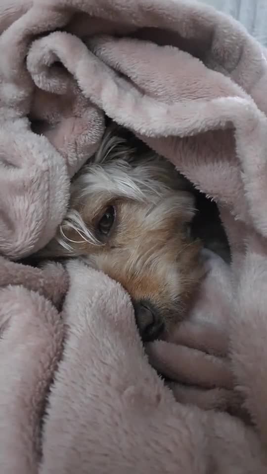 Pacotinho de Amor💞