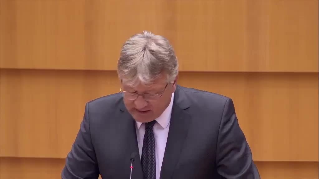 EU - Migration - AfD