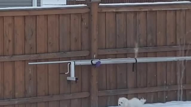 3.Puts entire head in snow at the end…