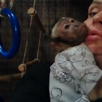 Мирошка ждет маму с работы