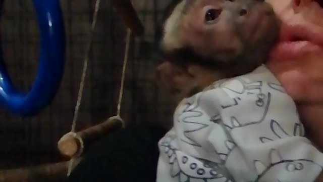 Мирошка ждет маму с работы