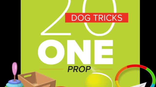 Tindrah Do More With Your Dog