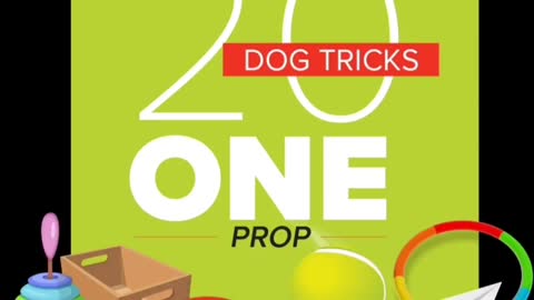 Tindrah Do More With Your Dog