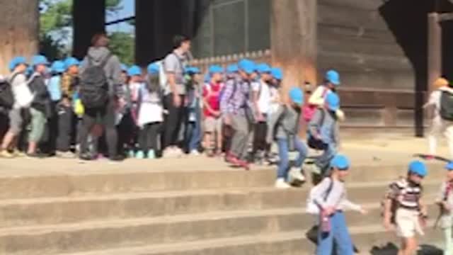Japanese kindergarten students going on a picnic 2