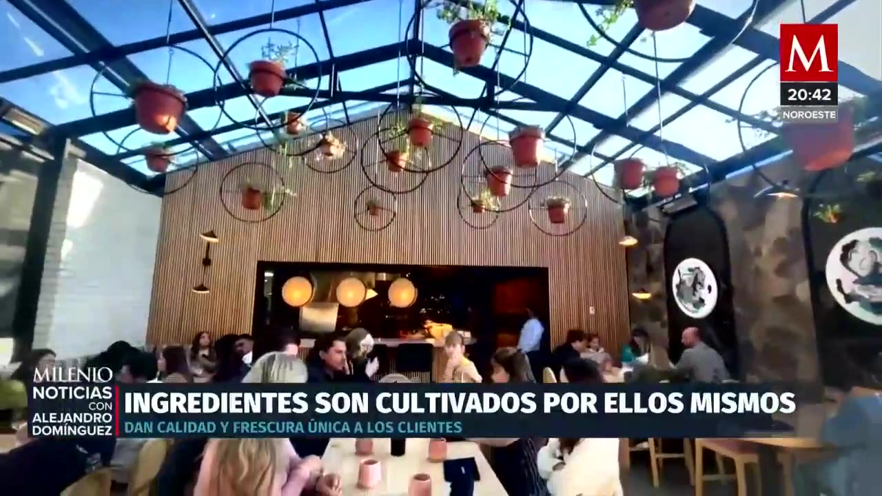 Restaurante 'Lunario' en Baja California es reconocido como el más sostenible de América Latina