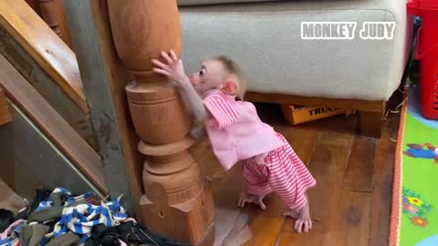 Funny animal with baby