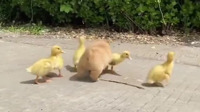 WHAT A BEAUTIFUL FAMILY