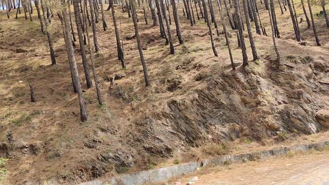 Chamba to New Tehri Uttarakhand ❤️