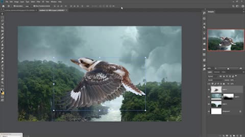 Adjust The Angle Of The Bird