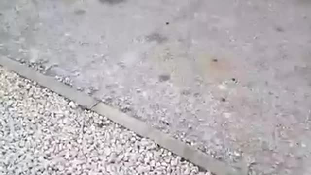 David bollands travel from Luton to Chesterfield