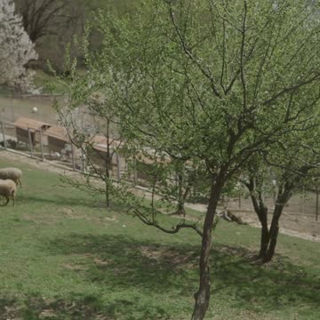 TRY NOT TO LAUGH 🤦🐐🙉🦢 Funniest Animals Scared People Reaction of 2022 Weekly