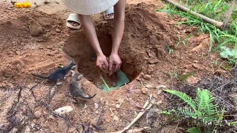 Helping Mother Cat With Her Little Kittens It's Being Crushed By A Huge Rock!!!