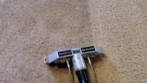 Dirty Carpets Getting Clean