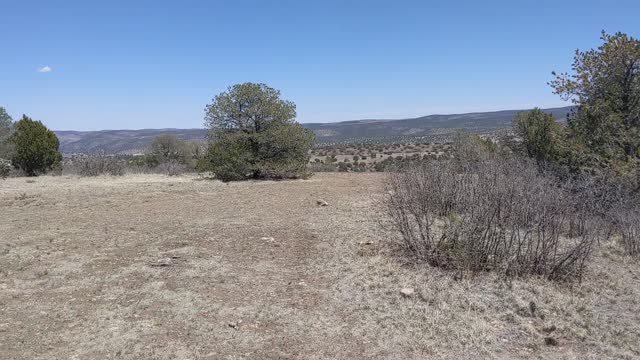 Dispersed camping Fort Stanton snowy River cave national conservation area