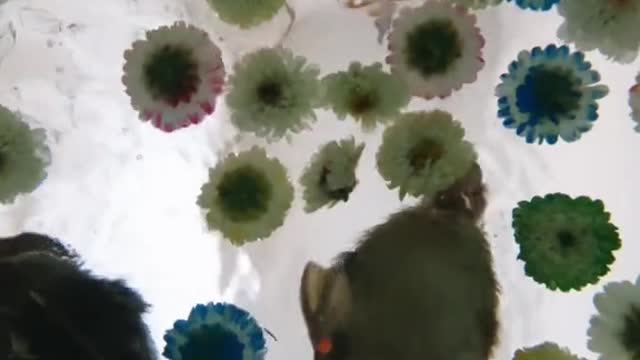 HOW CUTE IS THAT