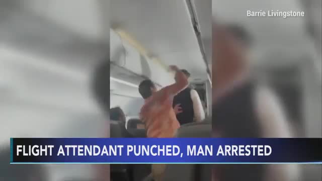 American Airlines passenger arrested after seen punching a flight attendant