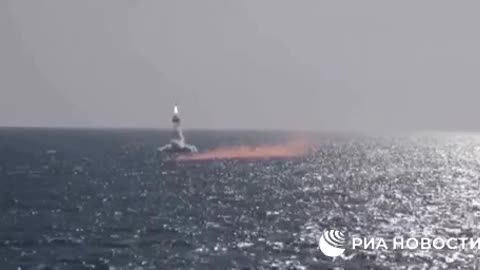 ΠΥΡΗΝΙΚΑ ΥΠΟΒΡΥΧΙΑ ΣΤΗ ΘΑΛΑΣΣΑ ΤΗΣ ΙΑΠΩΝΙΑΣ