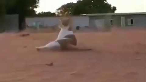 Cat gets hit by a cheetah or something