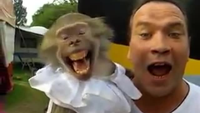 Smart monkey screaming