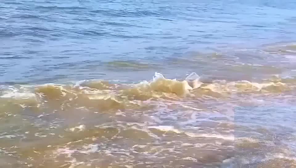 The tide