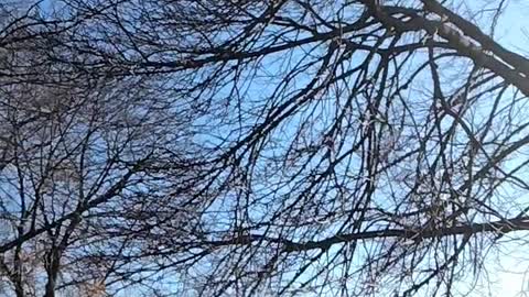 An Actual Contrail 😲