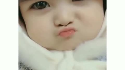 funny video of cute bay
