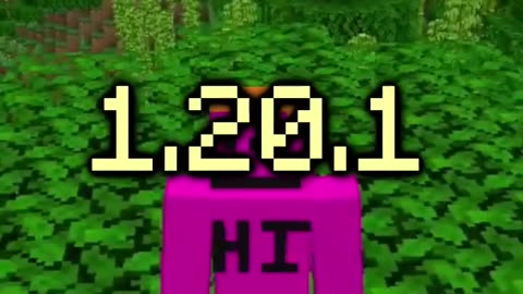 Minecraft has a serious problem...