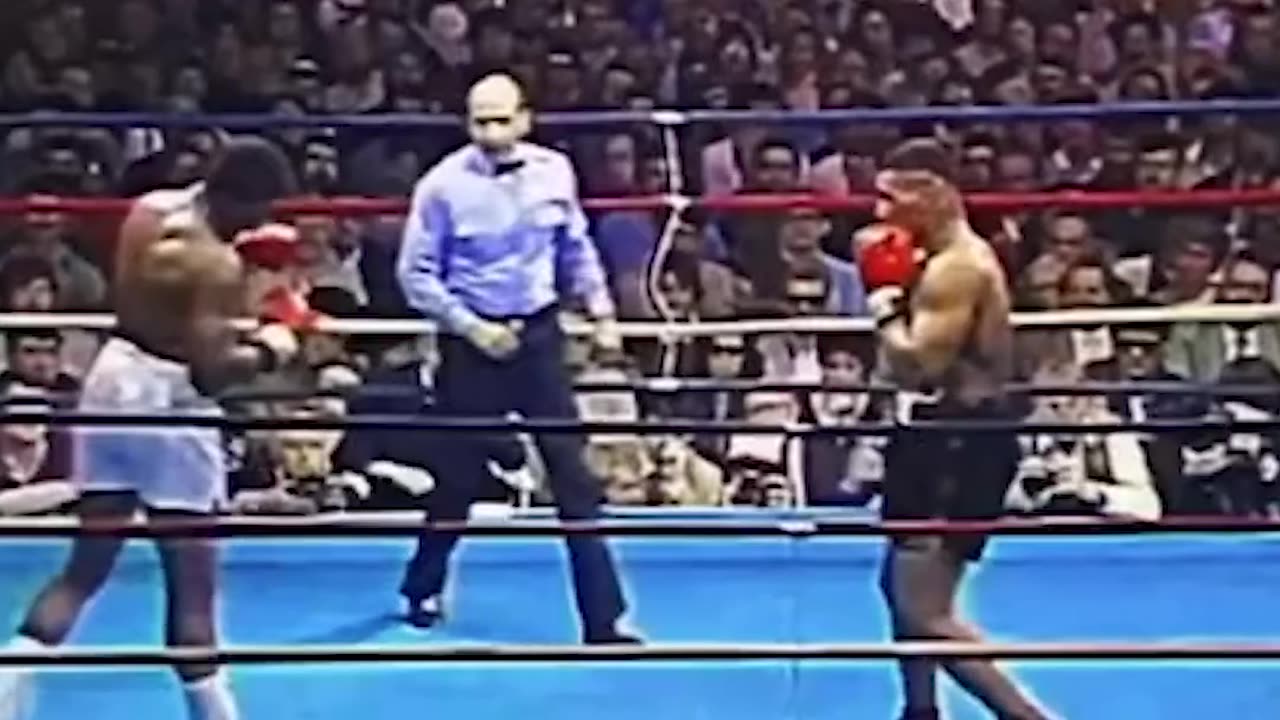 Brutal knockout | Tyson destroyed his opponent